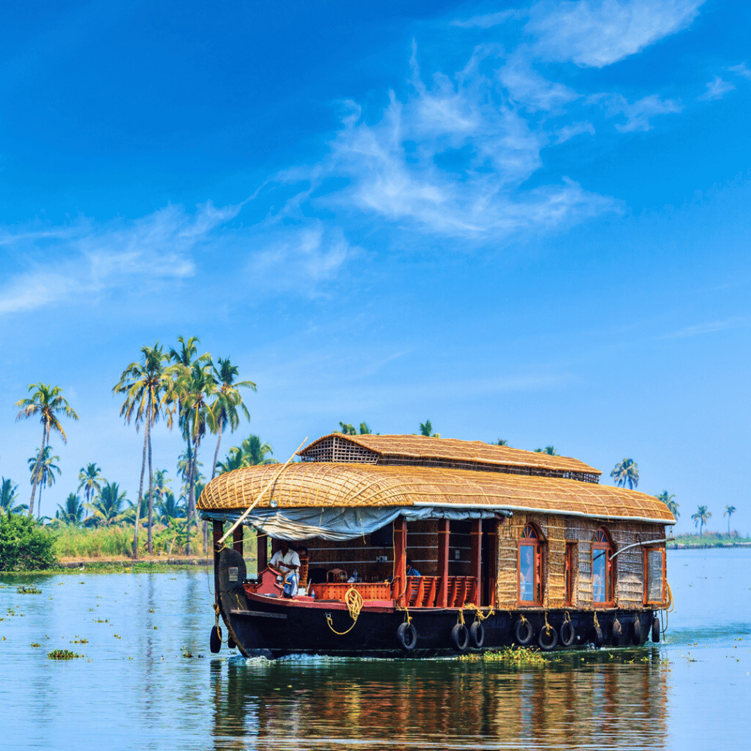 Kerala Walking Tour (5).png