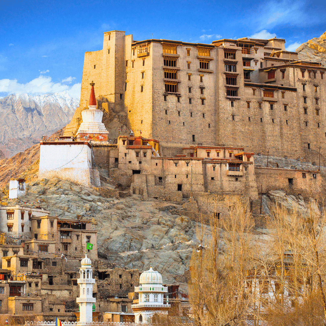 Delhi To Leh (2).png