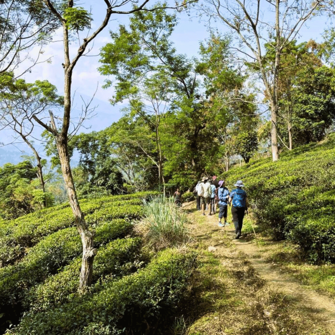 11 Days - Villages Of Sikkim Walking Tour