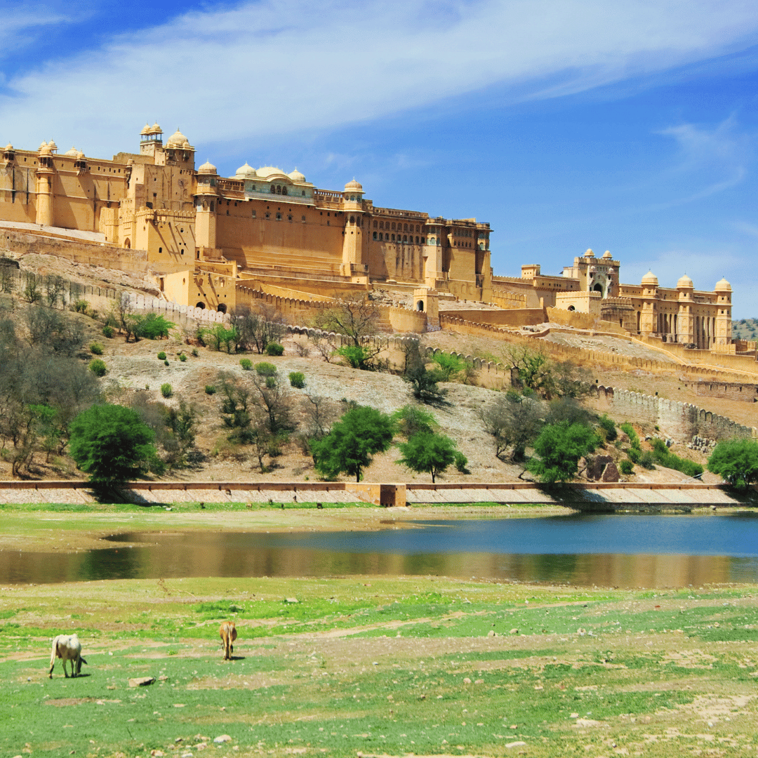 Golden Triangle With Ranthambore (4).png