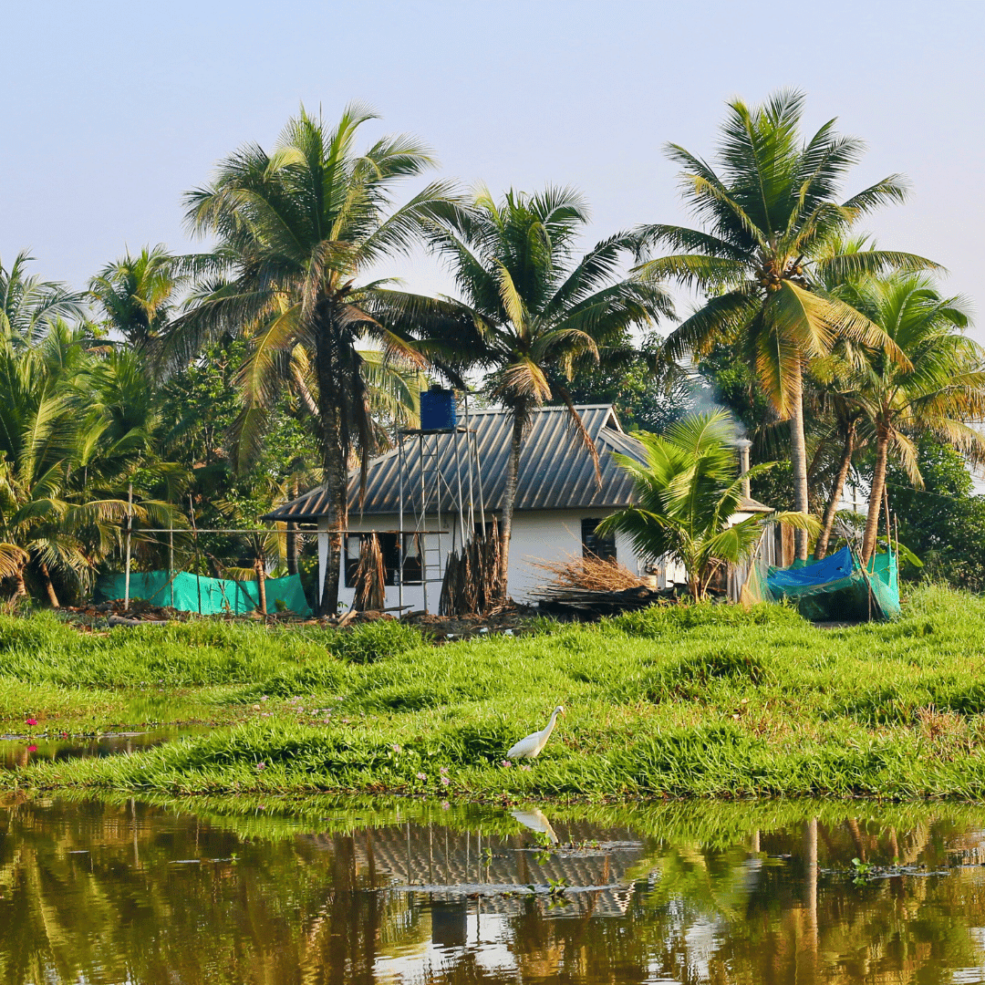 Backroads Of Kerala & Karnataka (2).png