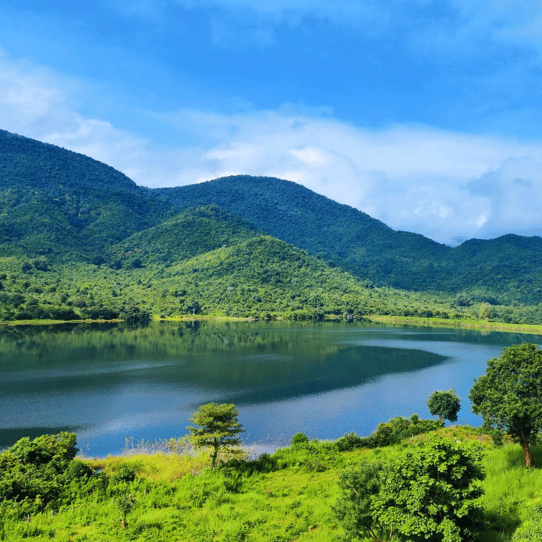Odisha Uncovered (5).png