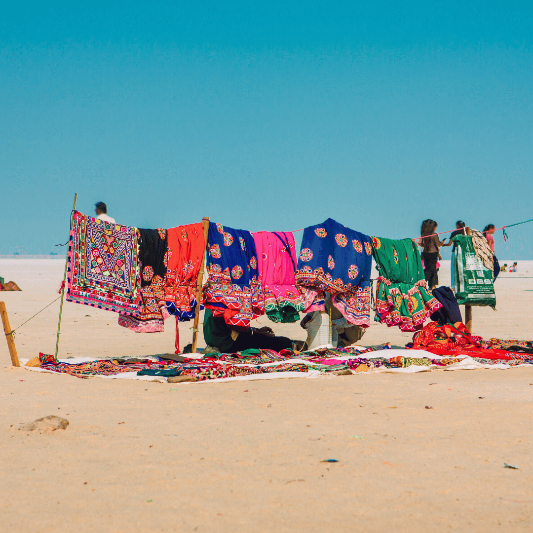 Backroads Of Gujarat & Rajasthan (4).png