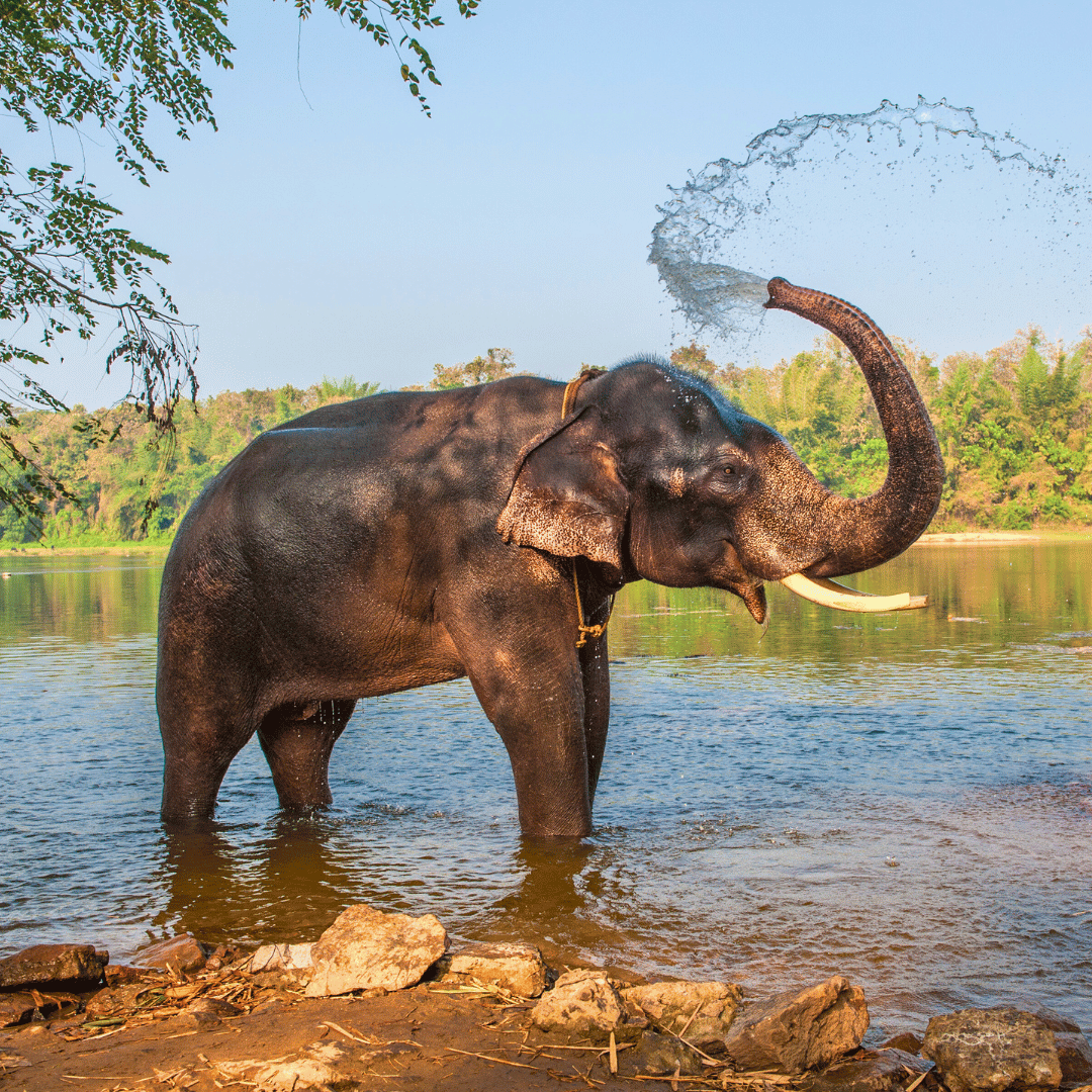 Hike, Bike & Kayak In Kerala (4).png