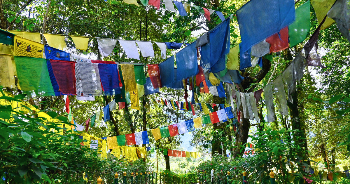 Colourful Buddhist prayer flags strung between trees along a forest trail in Sikkim