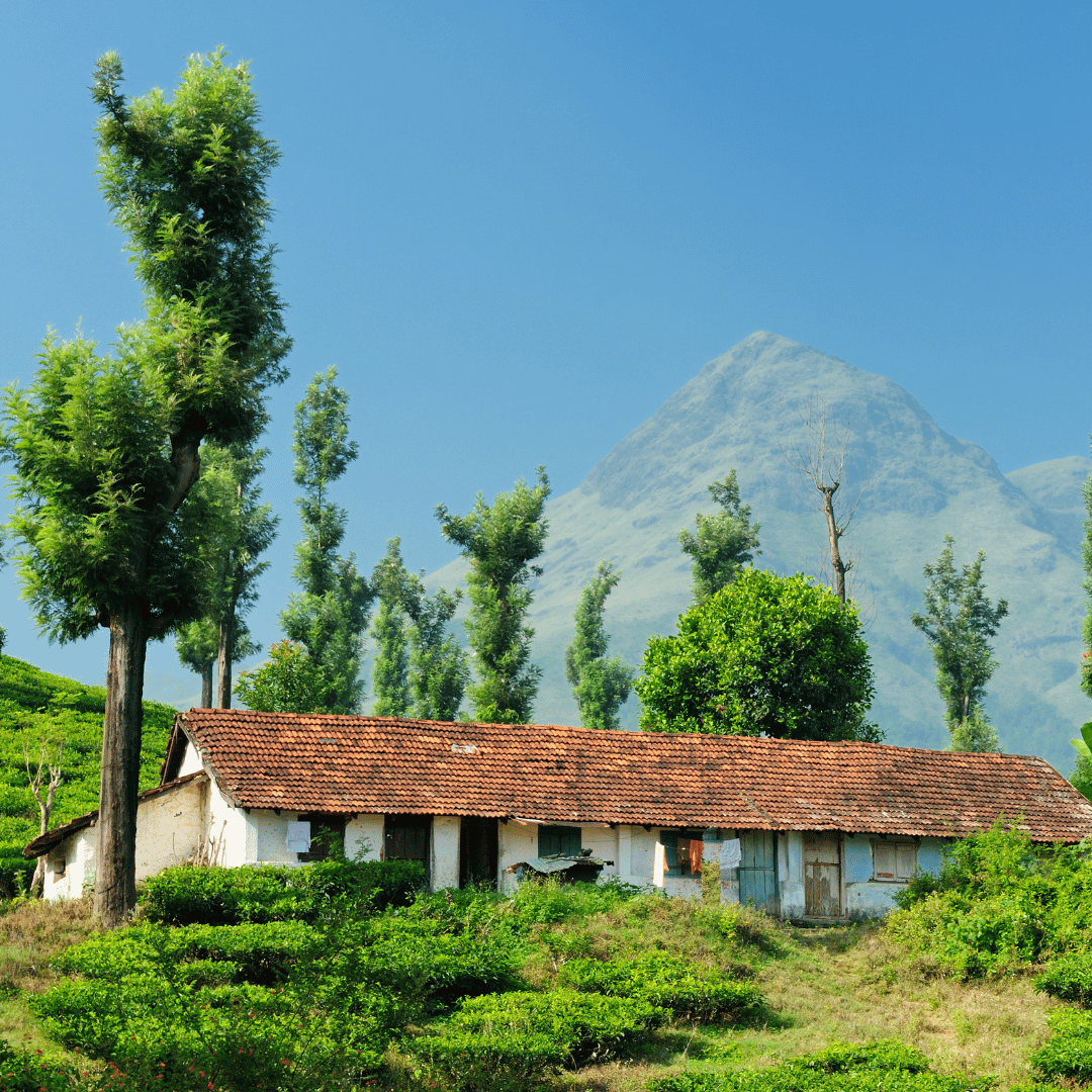 Backroads Of South India (3).png