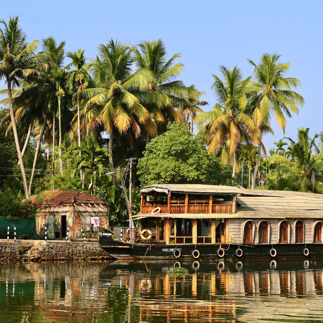Classic South India (4).png