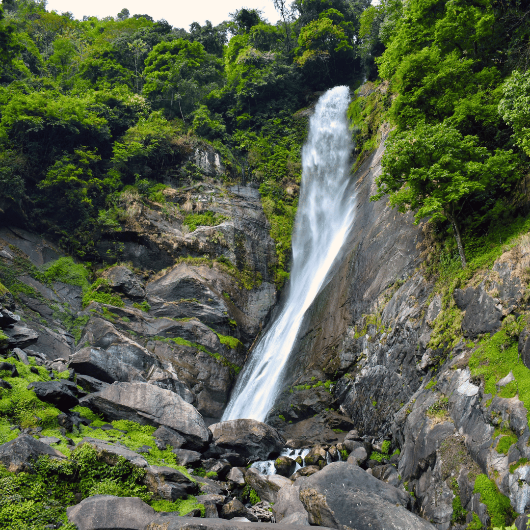 West Bengal & Sikkim Walking Tour (4).png