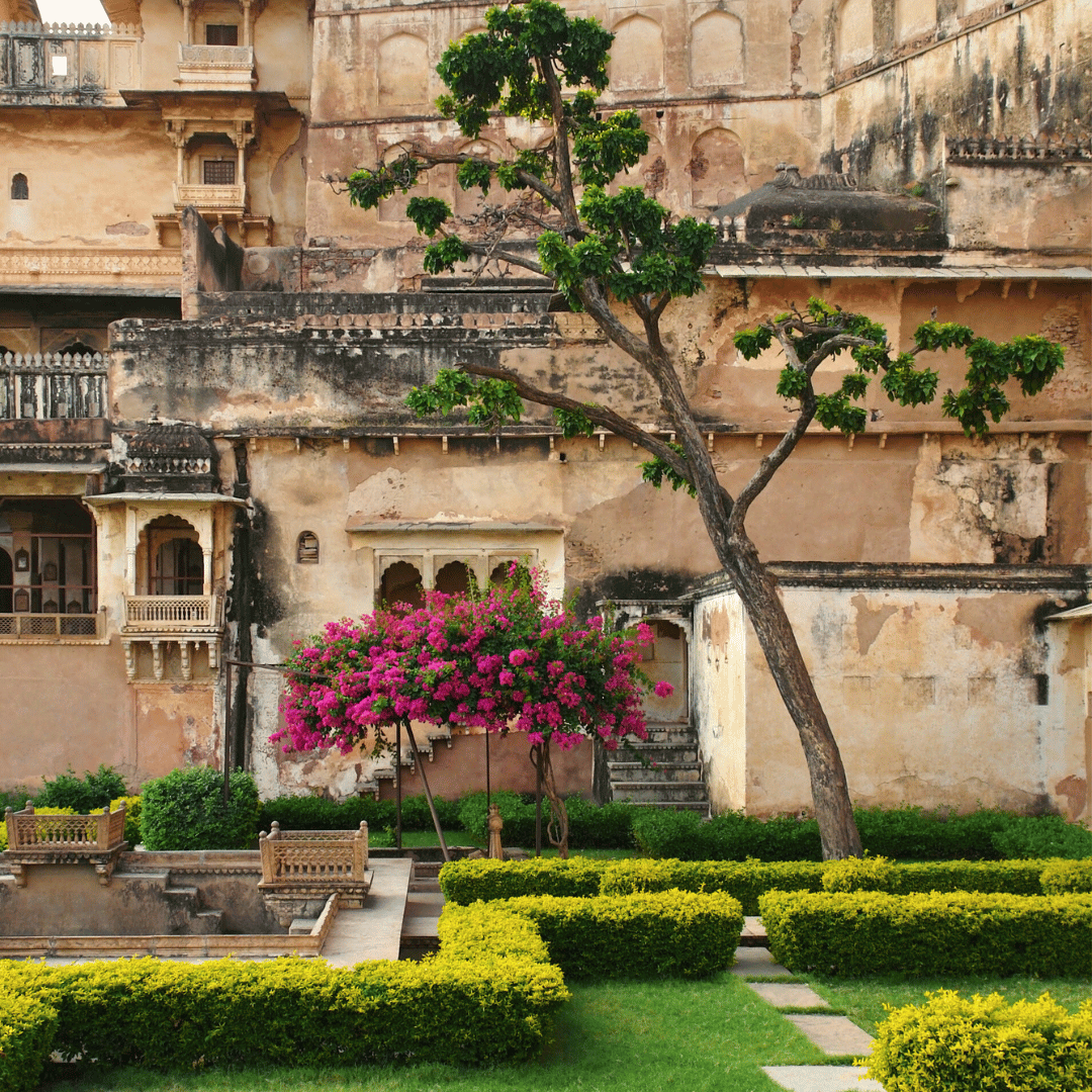 1 - Backroads Of Rajasthan.png