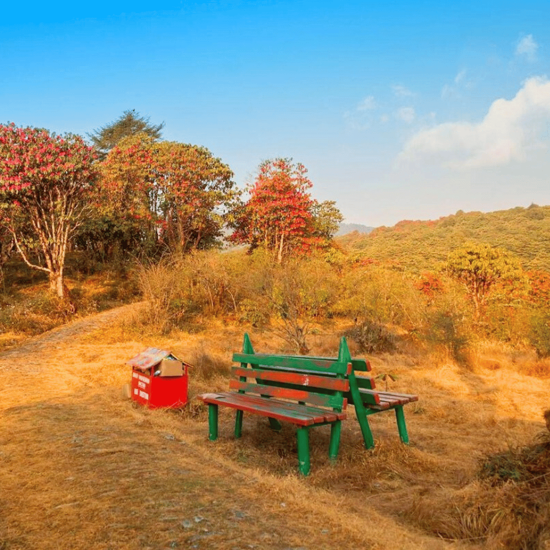 Villages Of Sikkim Walking Tour (5).png