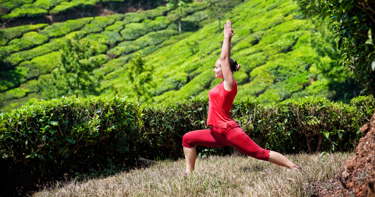 Yoga practitioner in a warrior pose among tea plantations in the hills of Kerala