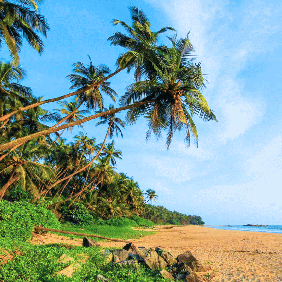 19 Days - Backroads Of South India