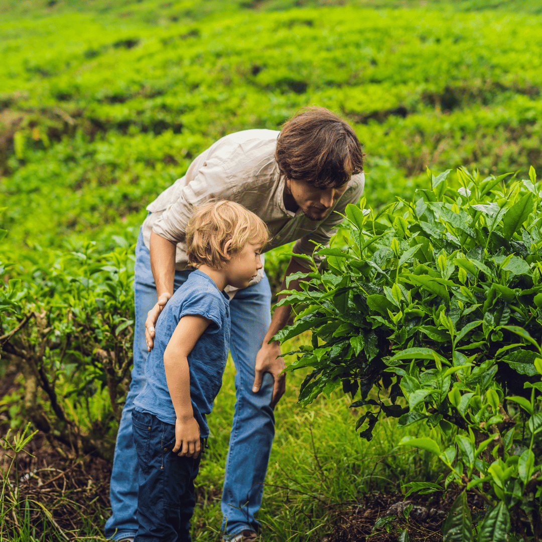 12 Days - Kerala Family Explorer