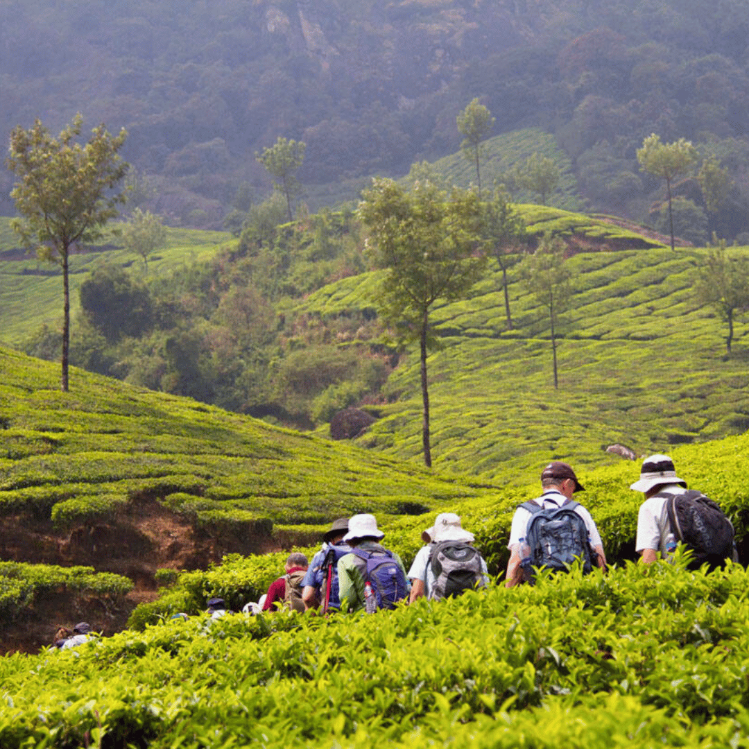 Hike, Bike & Kayak In Kerala (5).png