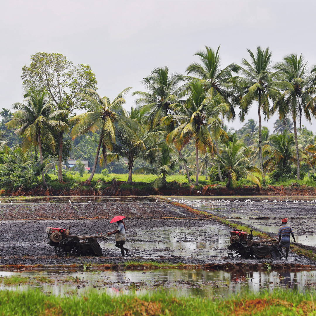 Kerala Family Explorer (3).png
