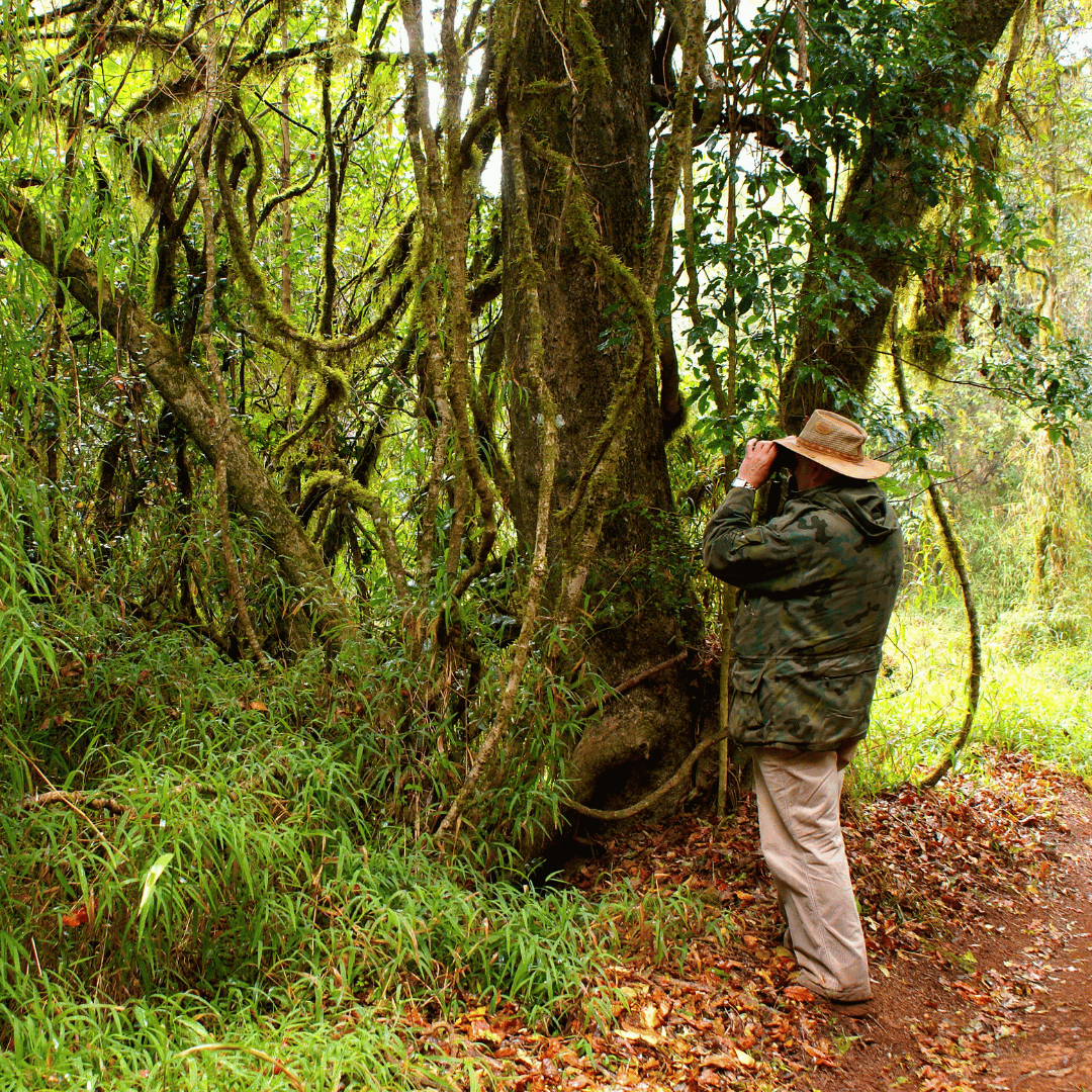 South India Birding Tour (2).png