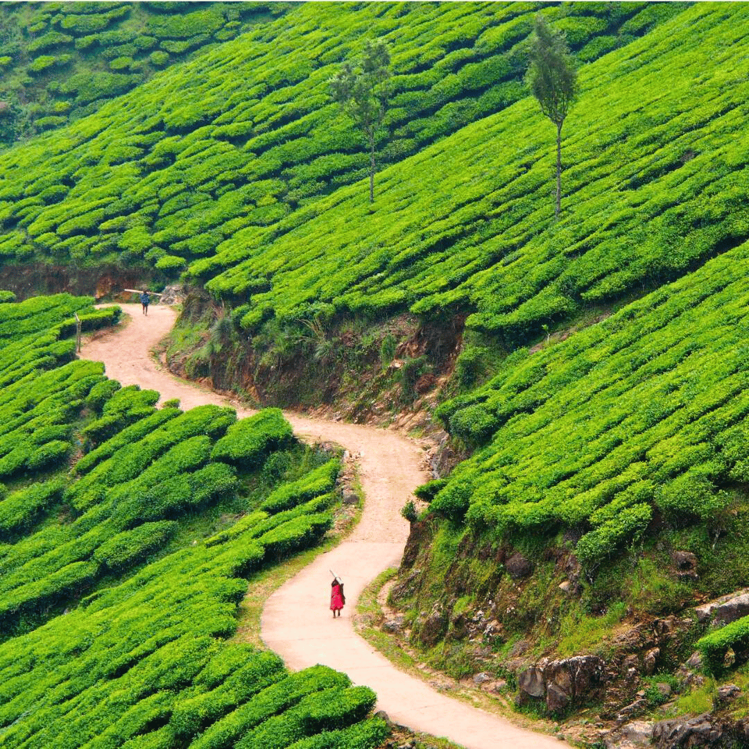 13 Days - Hike, Bike & Kayak In Kerala