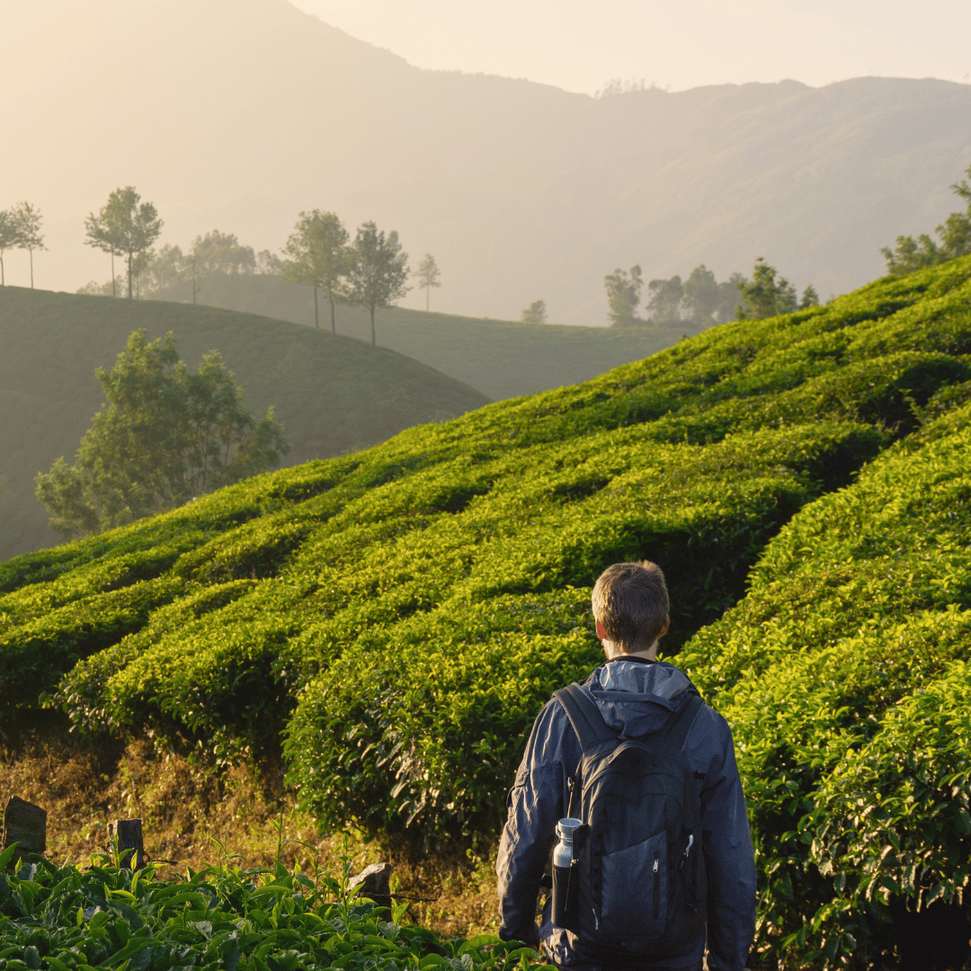 14 Days - Kerala Walking Tour