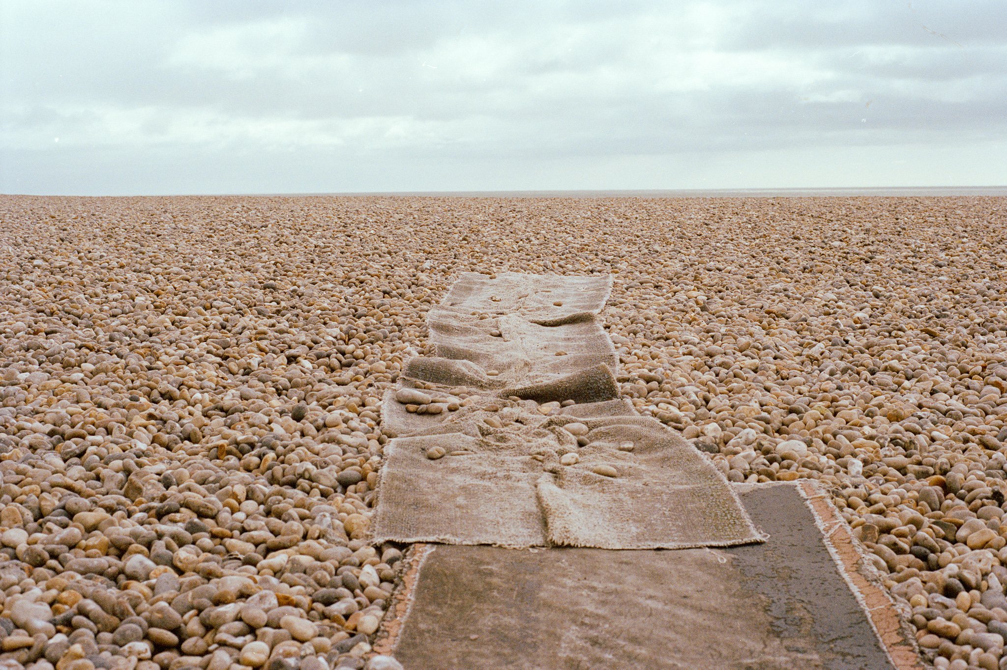 Desire lines