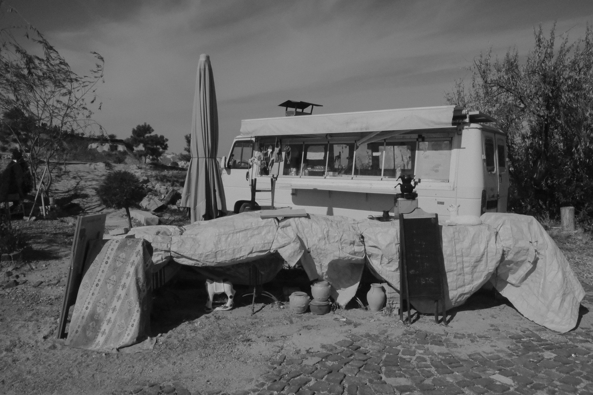 DSCF1244.jpg