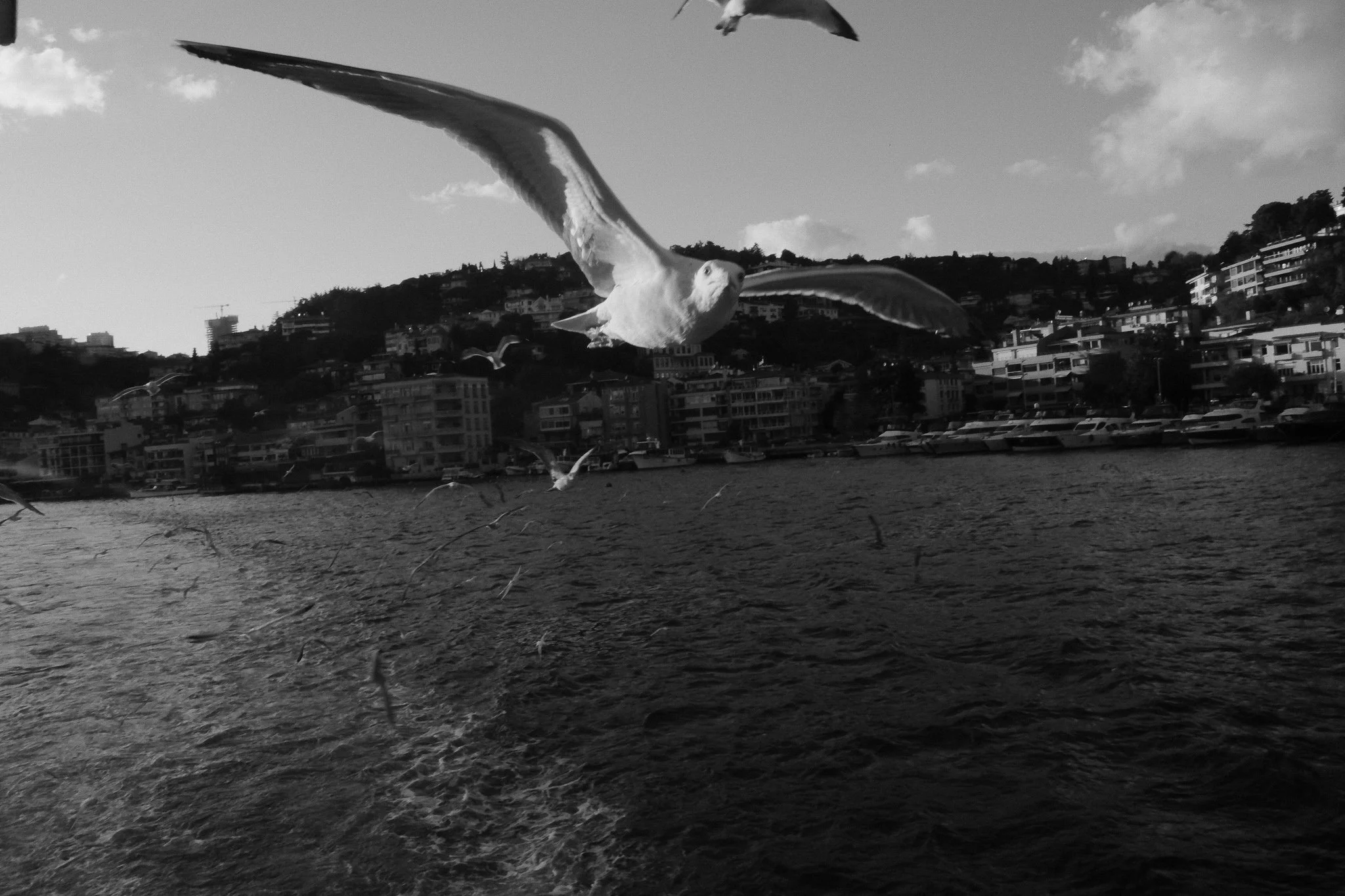 DSCF1408.jpg