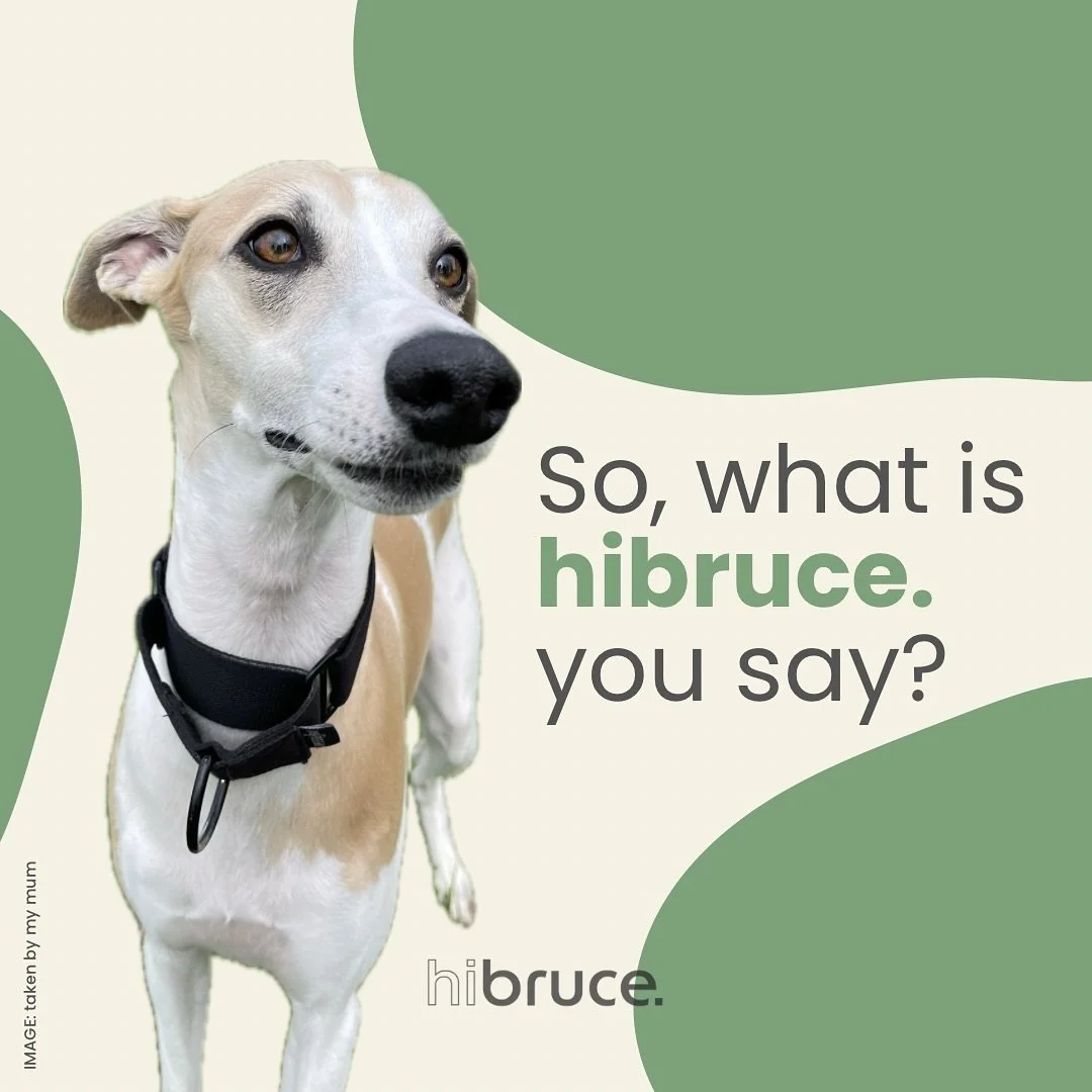 We say no to brand new mass-manufactured fabrics and yes to re-using fabric from garments that already exist

#slowfashion
#stopfastfashion
#upcycled 
#upcyclefashion
#sustainablefashion 
#handmade
#textilewaste
#sighthoundsofinstagram 
#whippetfashi