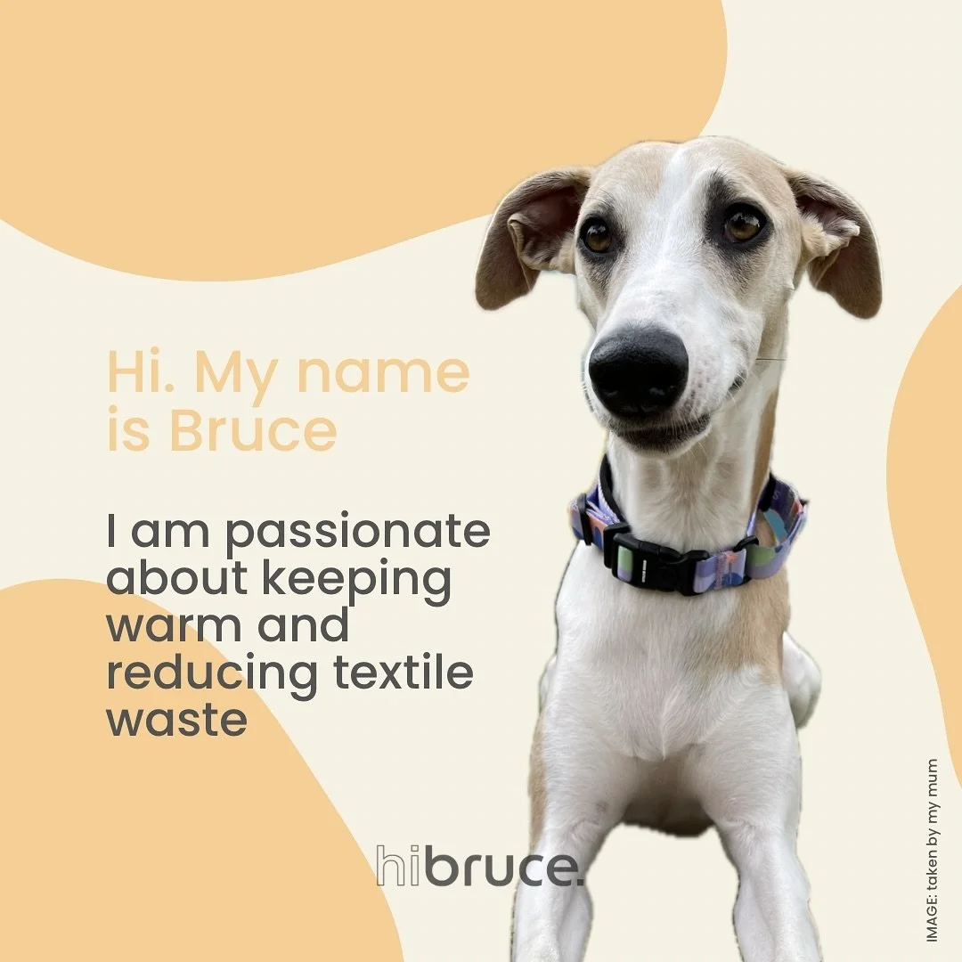 What if we could reduce textile waste one hound top at a time? 

#slowfashion
#stopfastfashion
#upcycled 
#upcyclefashion
#sustainablefashion 
#handmade
#textilewaste
#sighthoundsofinstagram 
#whippetfashion
#iggyfashion
#greyhoundfashion