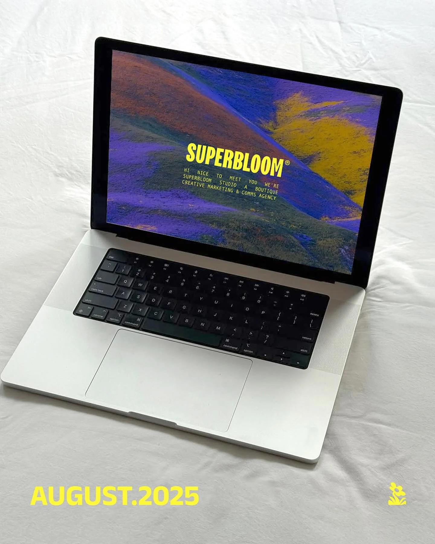 August at Superbloom 

From hotel room check-ins to set days, strategy sessions and secret things in the works. 

1-2 Locked in with @bondiboost for a hotel stay fit for @leximary_ 

2: @first.thing maternity campaign &rarr; out in the world

3-4: So