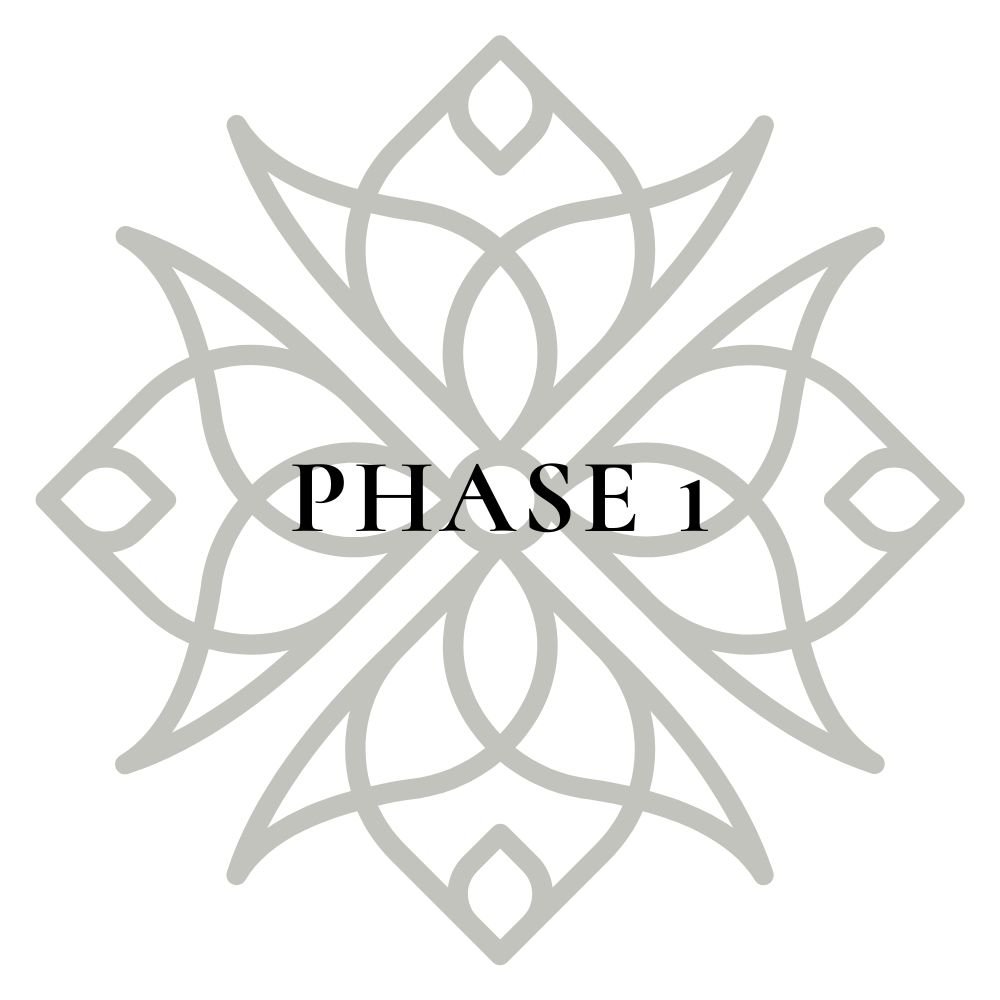 Design with symmetrical geometric patterns resembling a floral motif and the text "PHASE 1" in black.