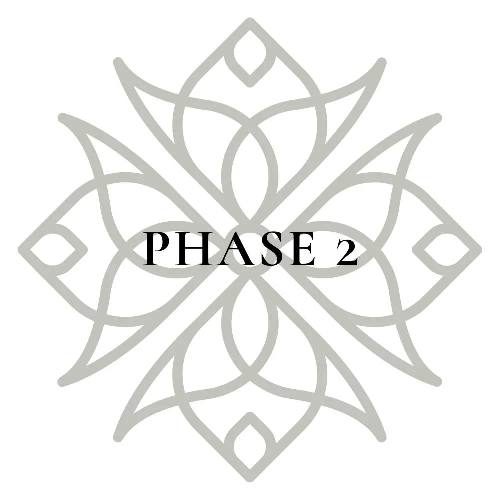 Gray geometric floral pattern with the words "PHASE 2" in black in the center.