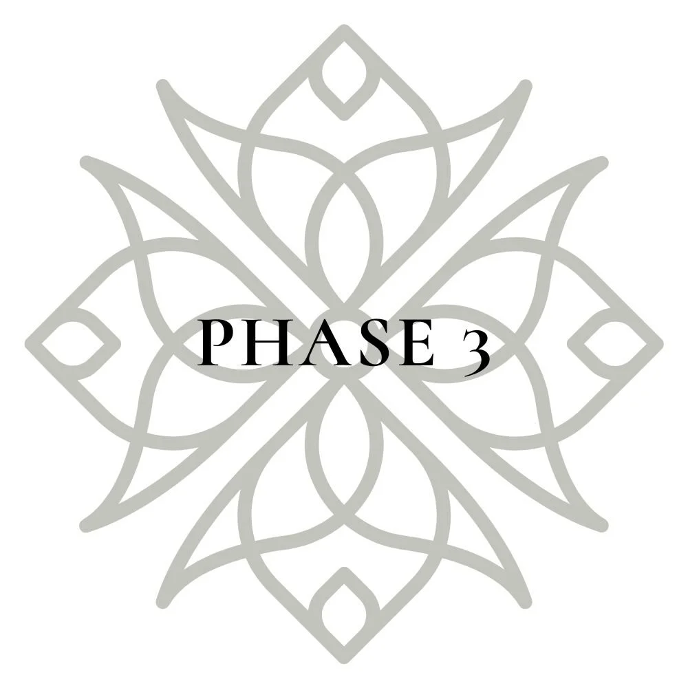 A gray geometric floral pattern with the text 'PHASE 3' in black positioned in the center.