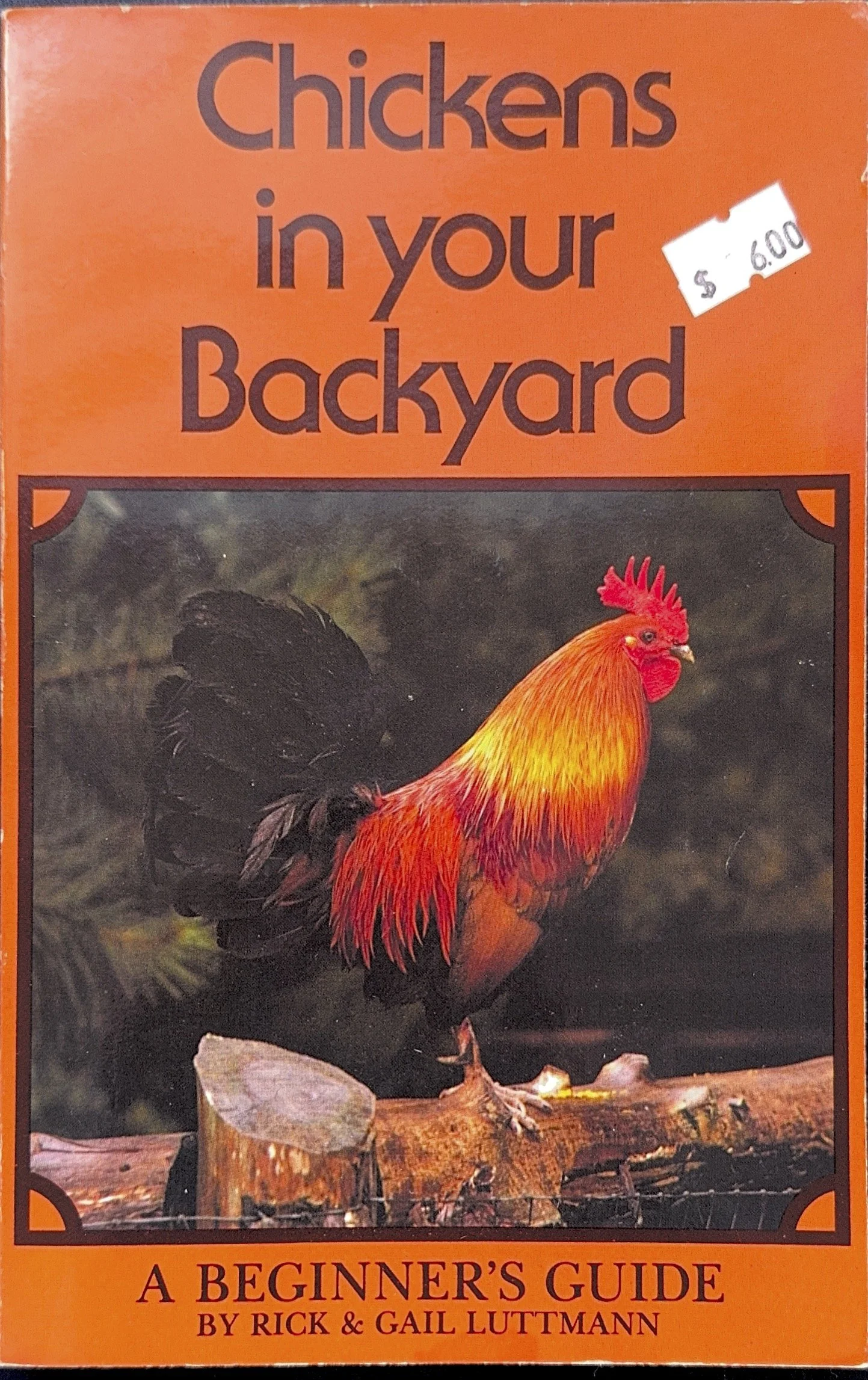 chick.jpg