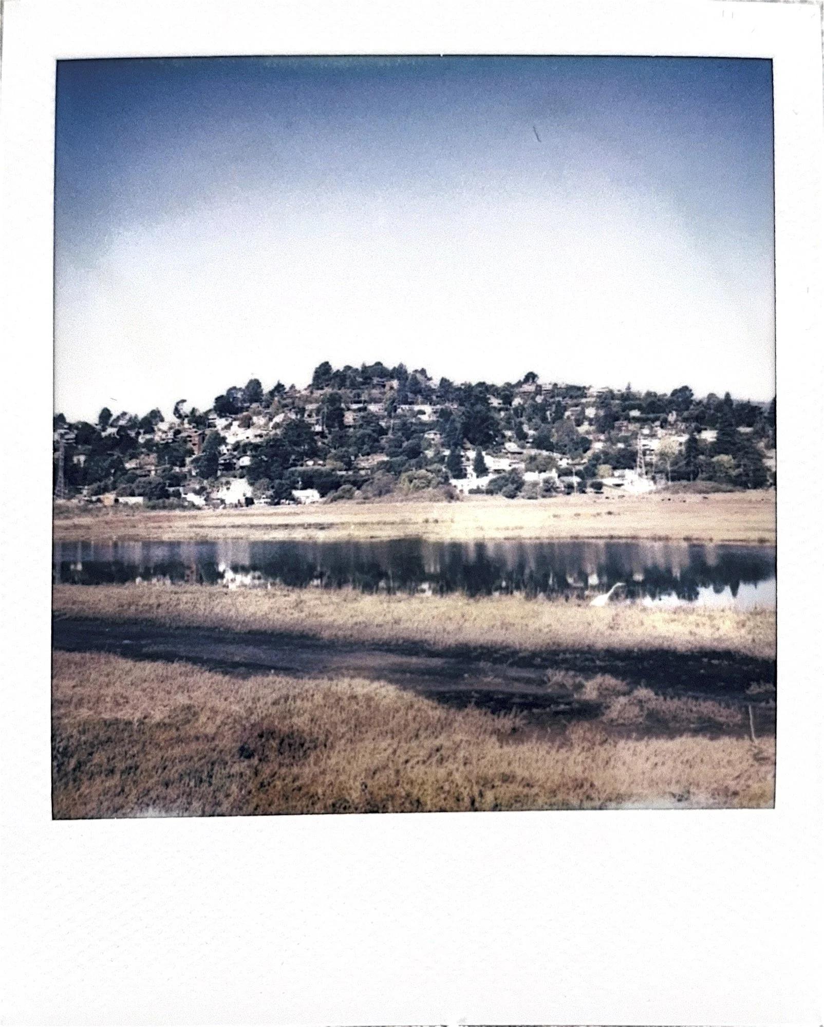 Holiday Inn Express Mill Valley