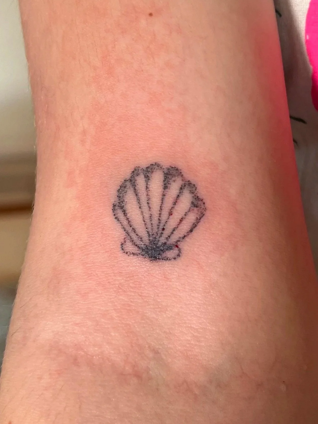 hand poked seashell