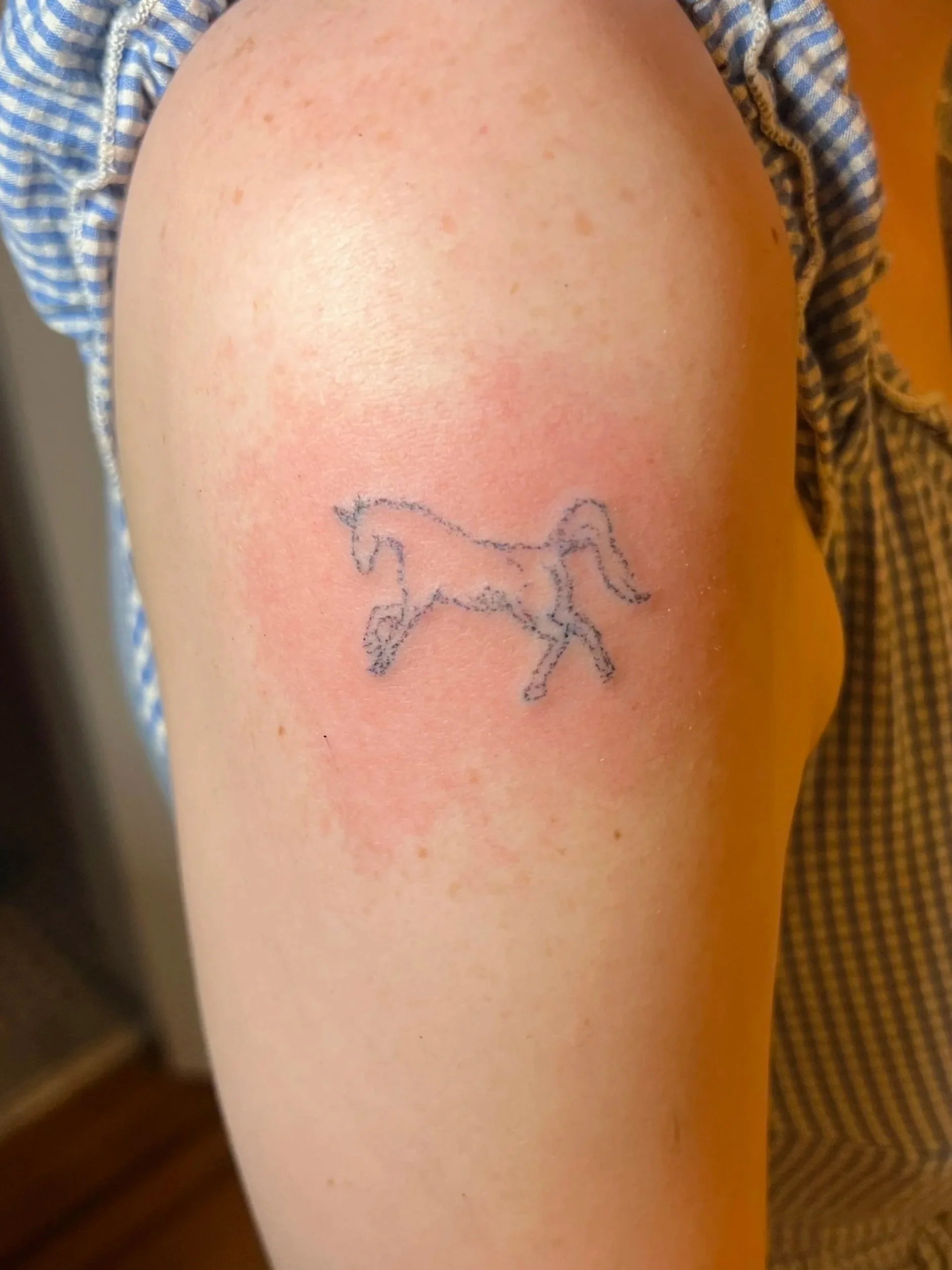 hand poked unicorn