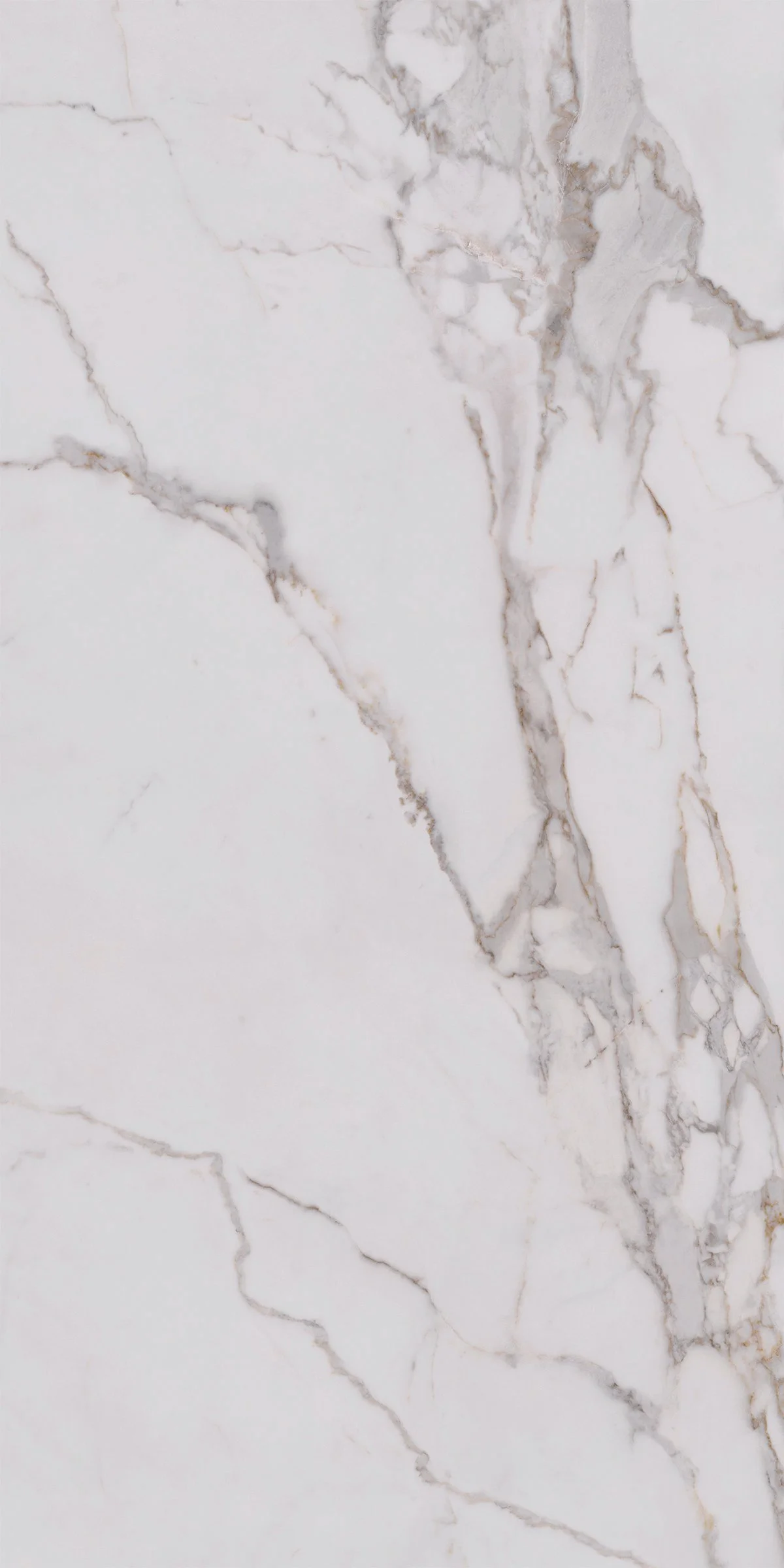 AVA_Calacatta Oro_320x160@02-1.jpg