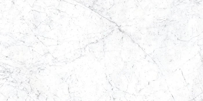 Euromarmo Carrara Venatino 60120.jpg