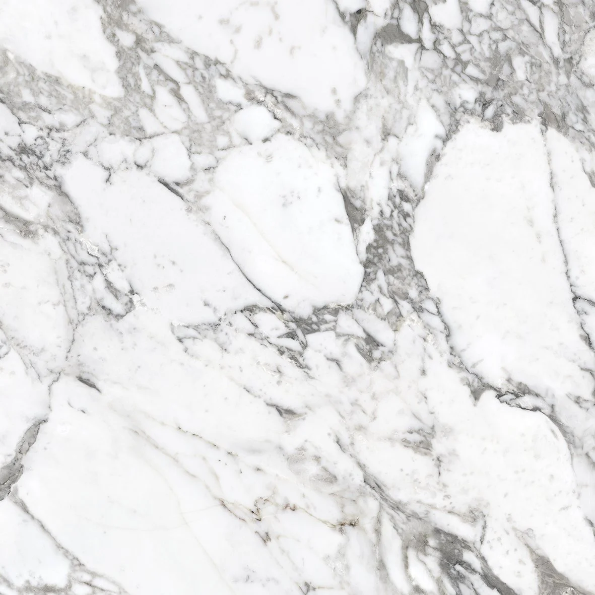 Supurb Marble Arabescato 6060 (3).jpg