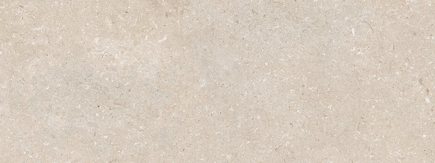 Coral Caliza Wall 100330258 (3).jpg