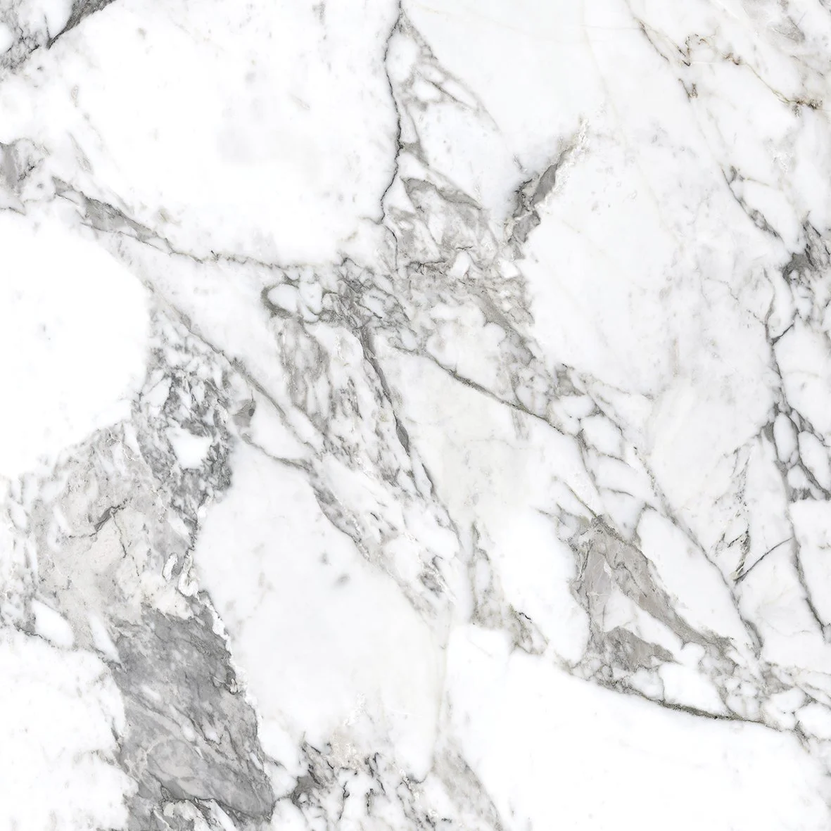 Supurb Marble Arabescato 6060 (2).jpg