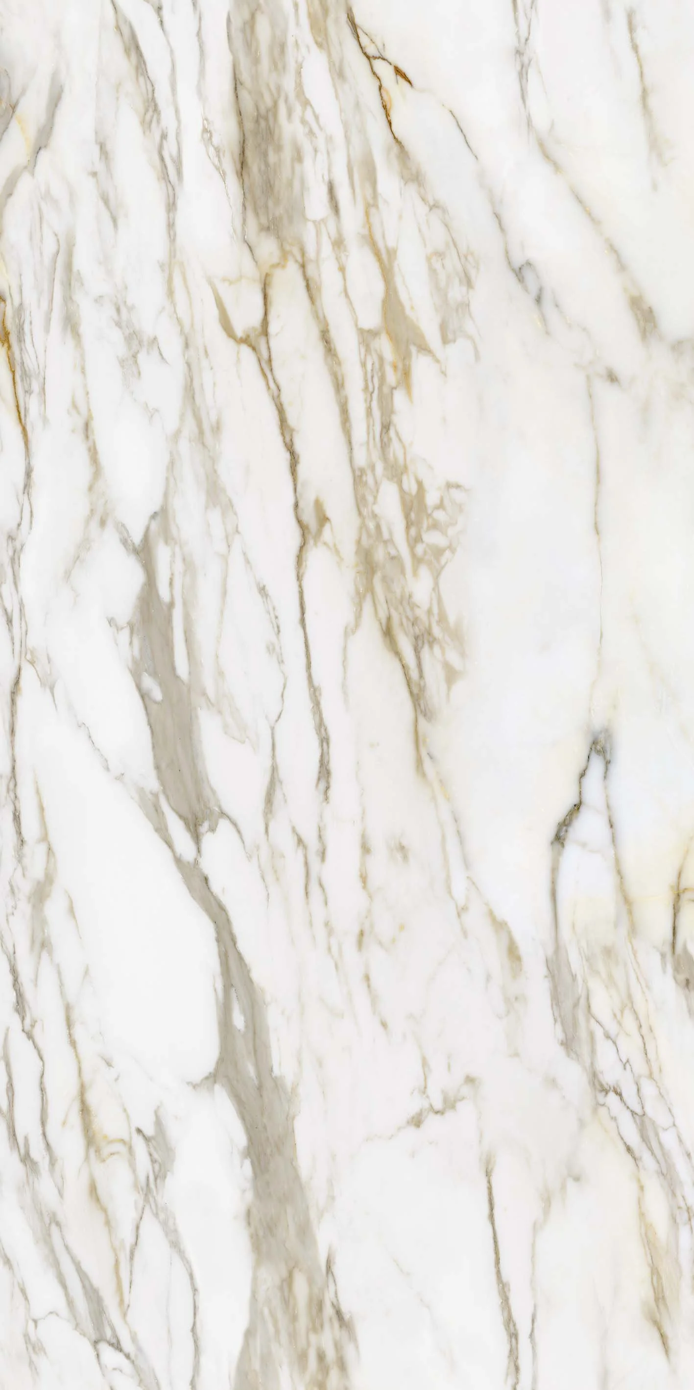 Megaslim Slab Macchia Vecchia