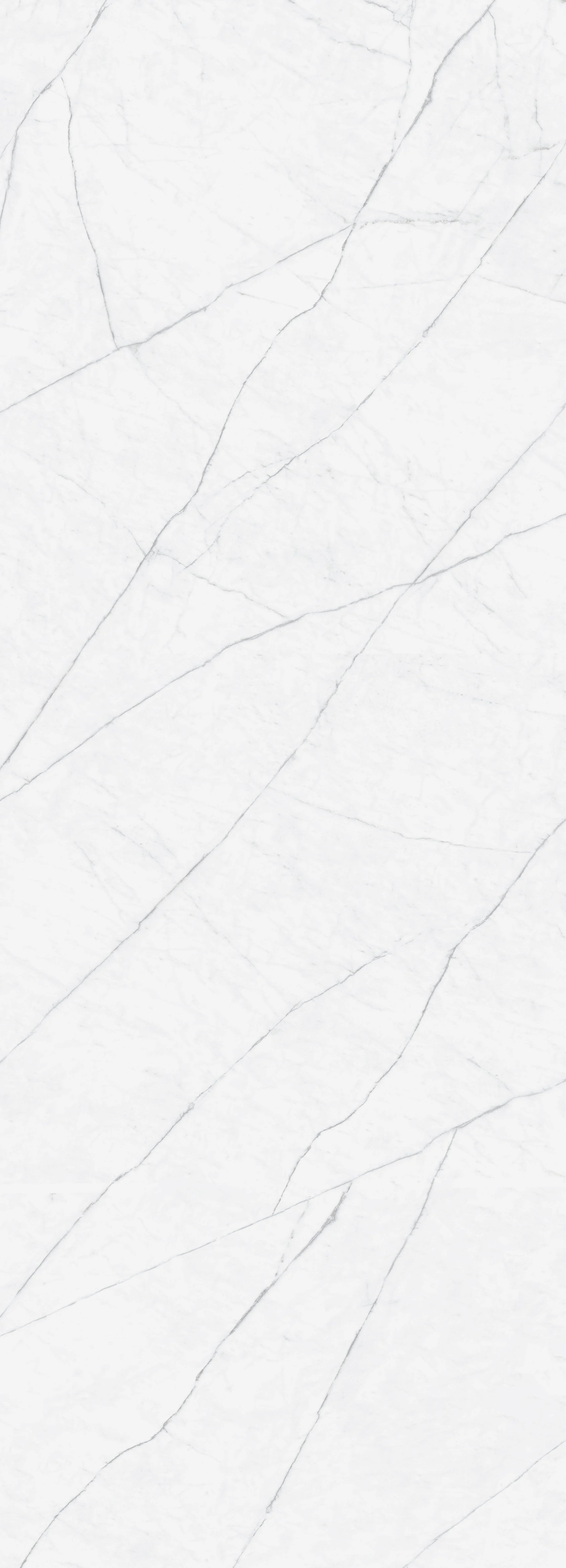 Megaslim Slab Michelangelo