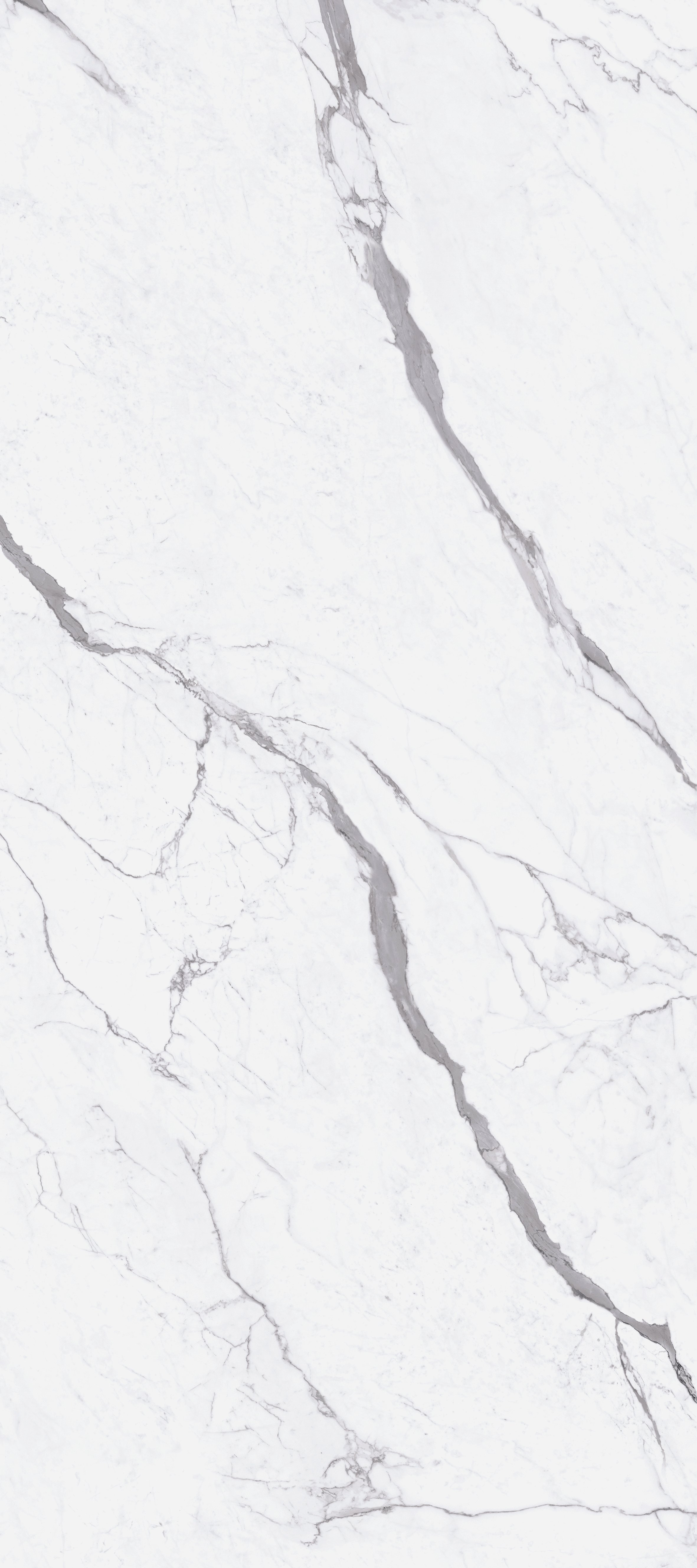 SUPERIORE 120X270__0003_7992-132x300-4-mod prof.psb.jpg