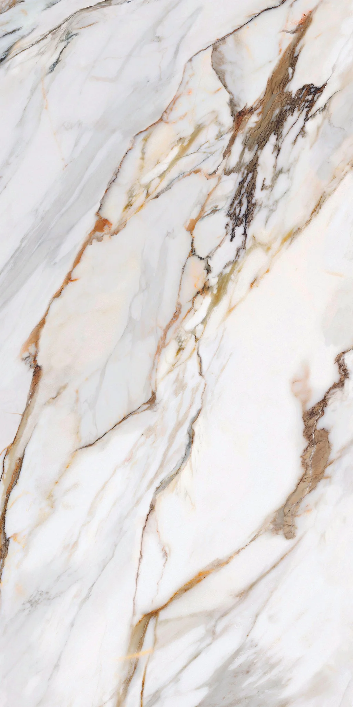 AVA_Macchia Antica_320x160@01.jpg