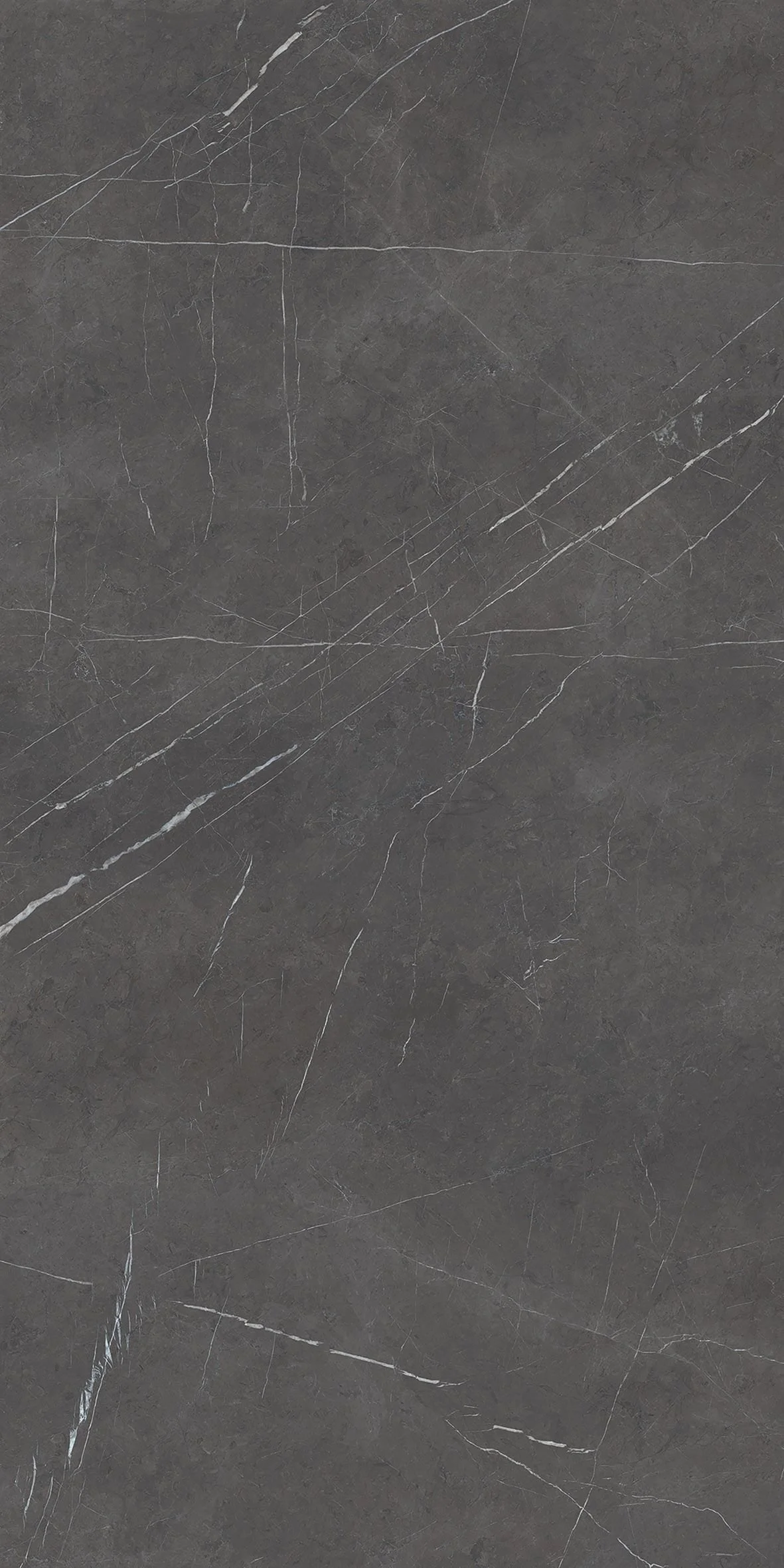 Megaslim Slab Pietra Grigia