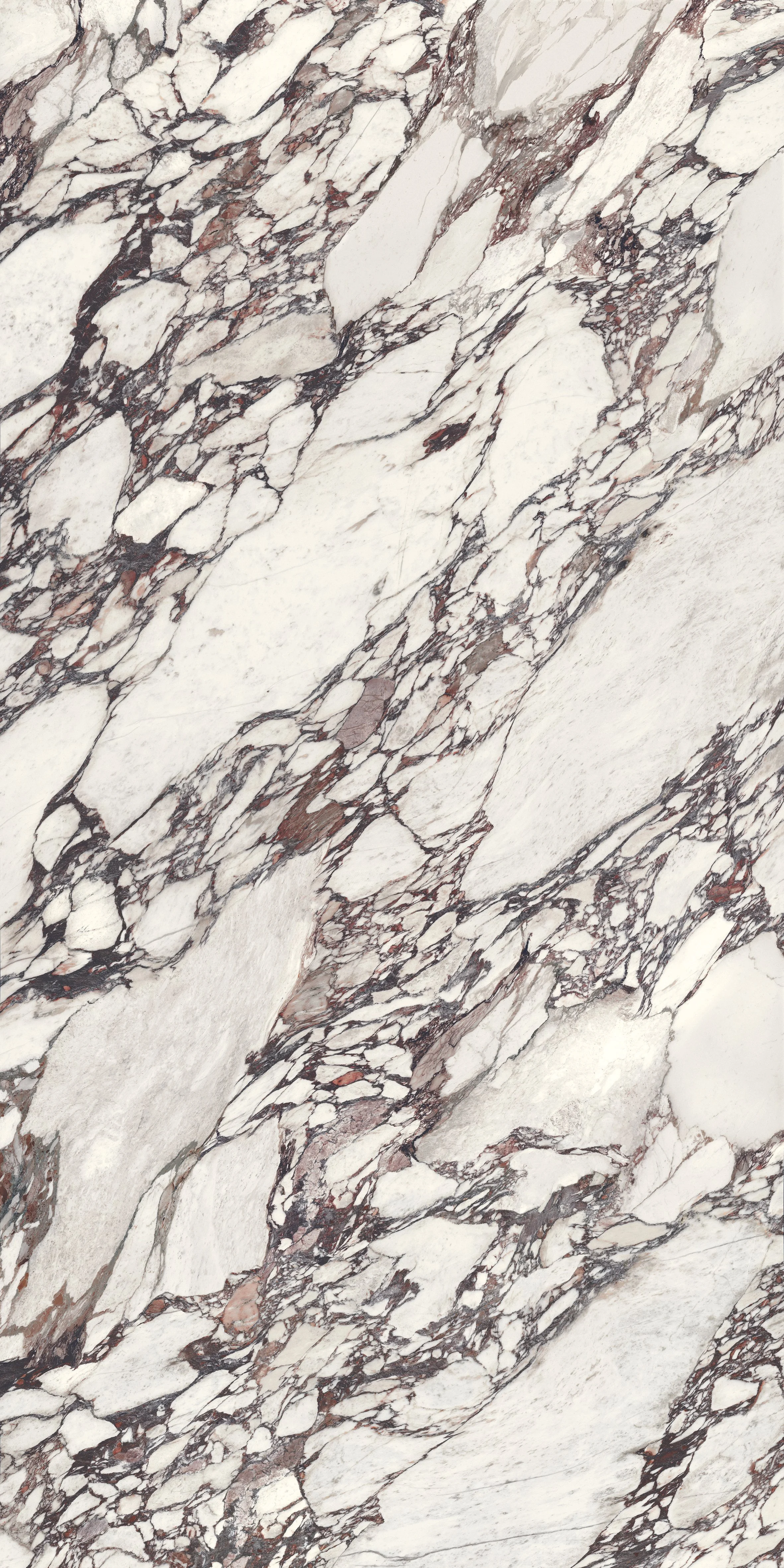 Megaslim Slab Arabescato Viola