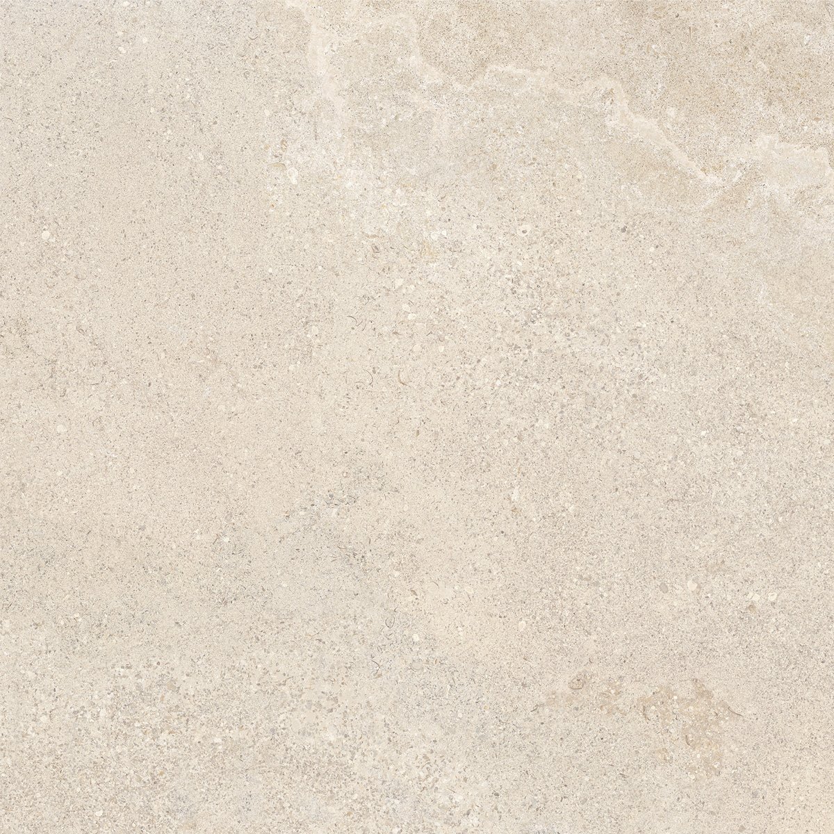 Metropolis Clay In & Out