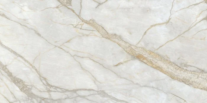 Marine Nature 60120.jpg