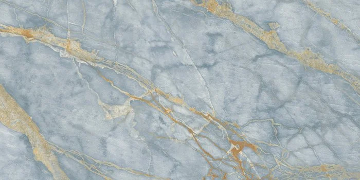 Marine Ocean 60120.jpg