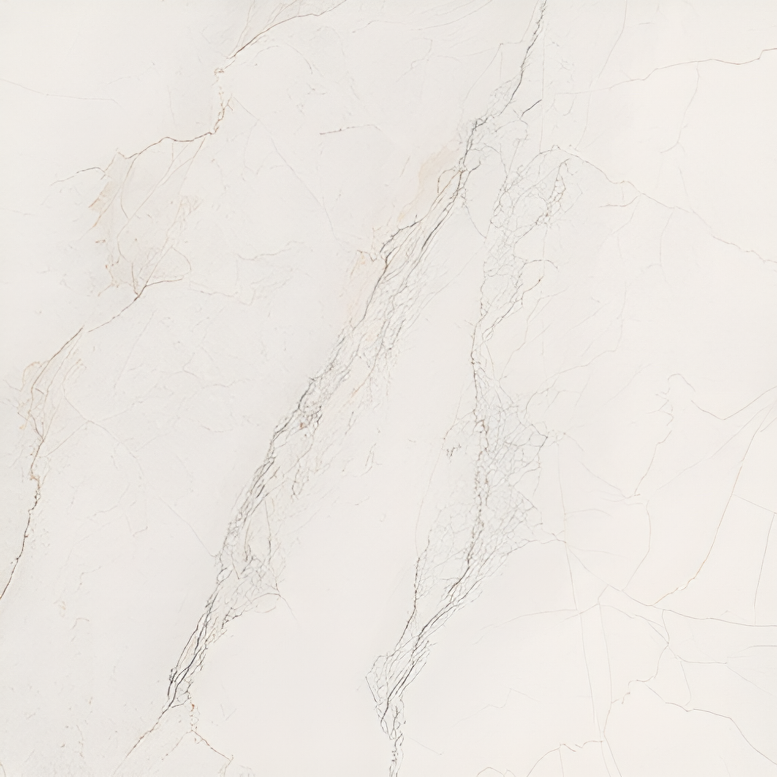 Bolgheri Stone Jasmine